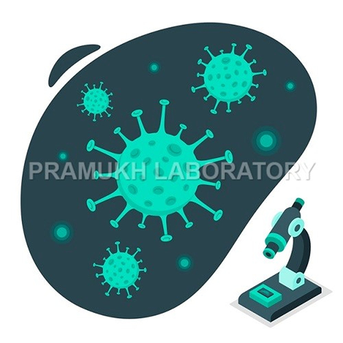Moraxella Spp. Testing Services