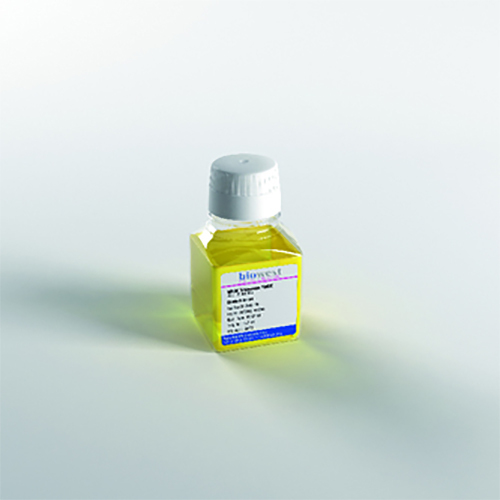 Mem Vitamins 100x Concentrate