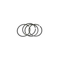PTFE Piston Ring