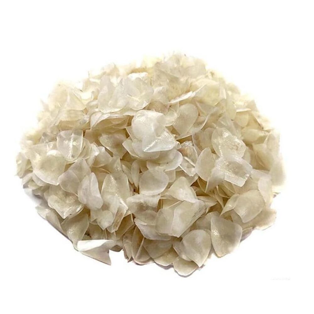 White Fish Scale
