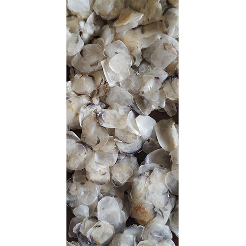 Dry Fish Scale