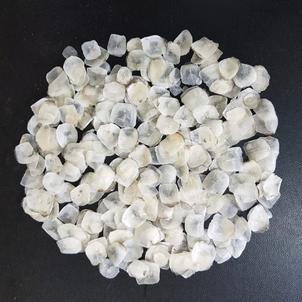 Dry Fish Scale