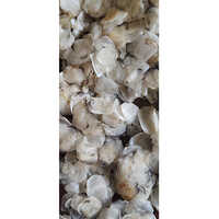 Dry Fish Scale