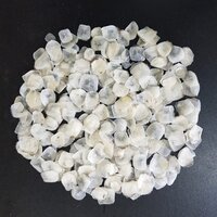 Dry Fish Scale