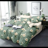 Espania Printed Cotton Bedsheet - Feature: Washable