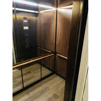 Automatic Door Residential Elevator