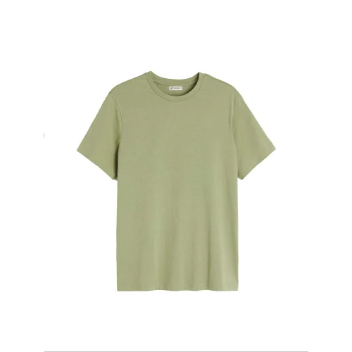 Plain Cotton Sage Green T Shirts
