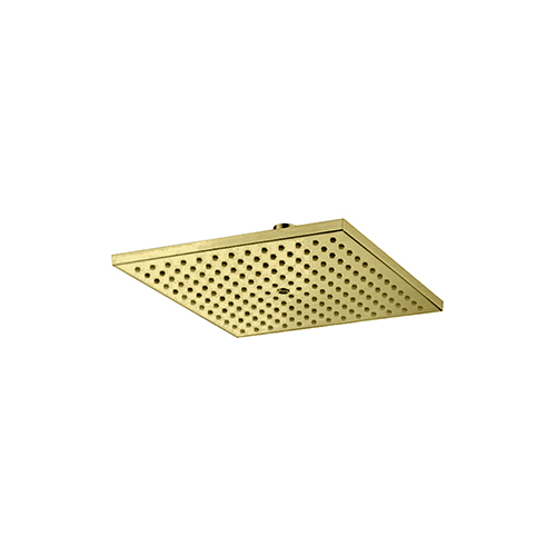 Gold Color Shower