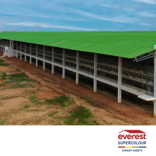 Everest Super Colour Green Fiber Cement Roofing Sheet - Dimension (L*W*H): 1.05(W) Meter (M)