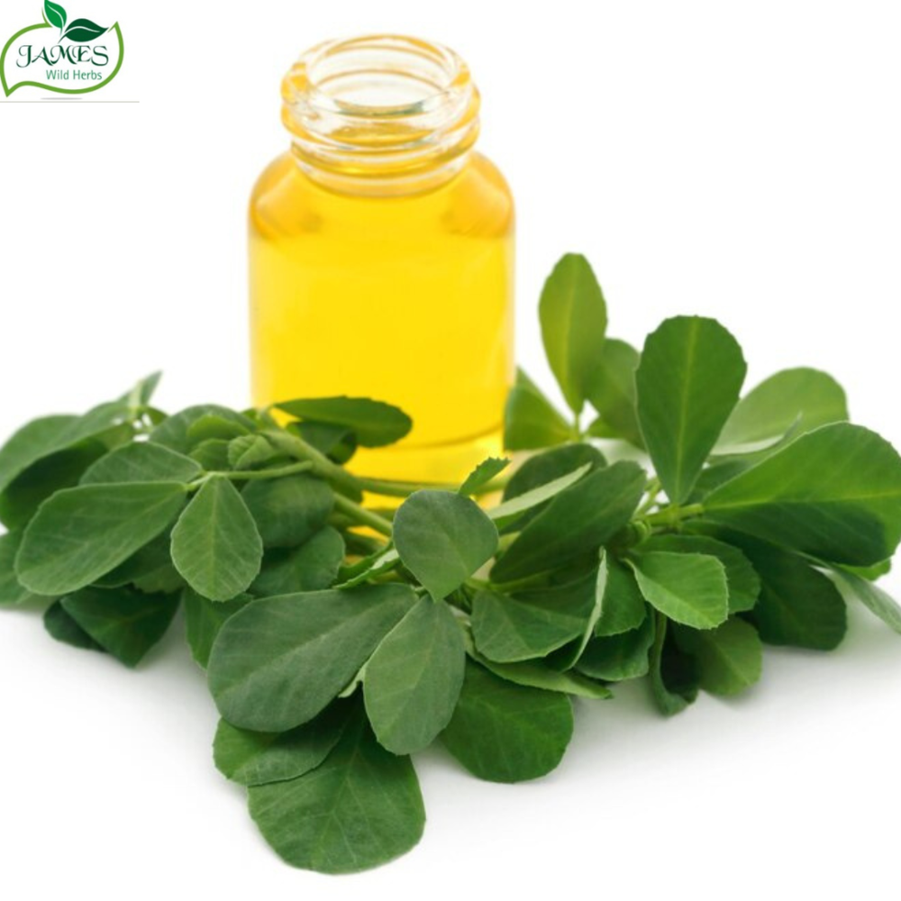 Elder Flower Extract