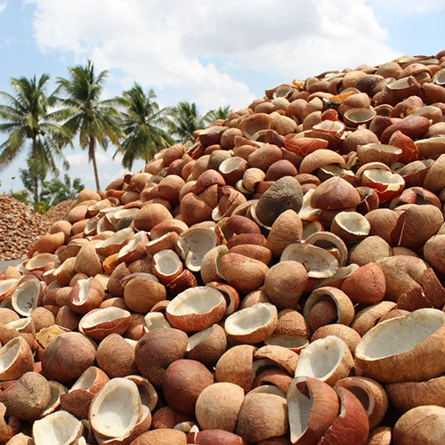 Fresh Coconut Copra By Rajeshwari Green Ventures