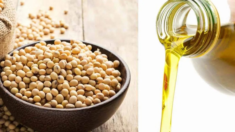 Refined soybean oil
