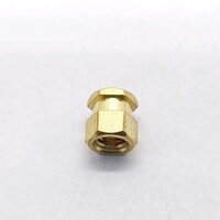 Brass Moulding Insert Nut - Color: Golden