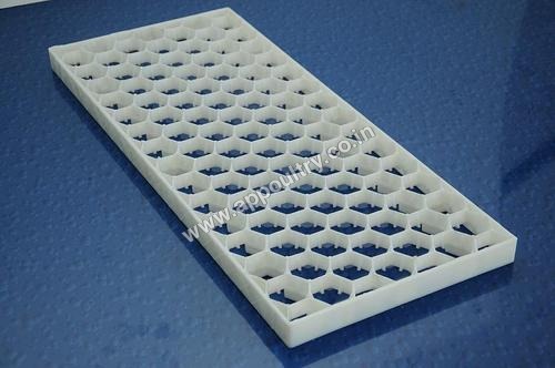 White Chicken Egg Setting Tray