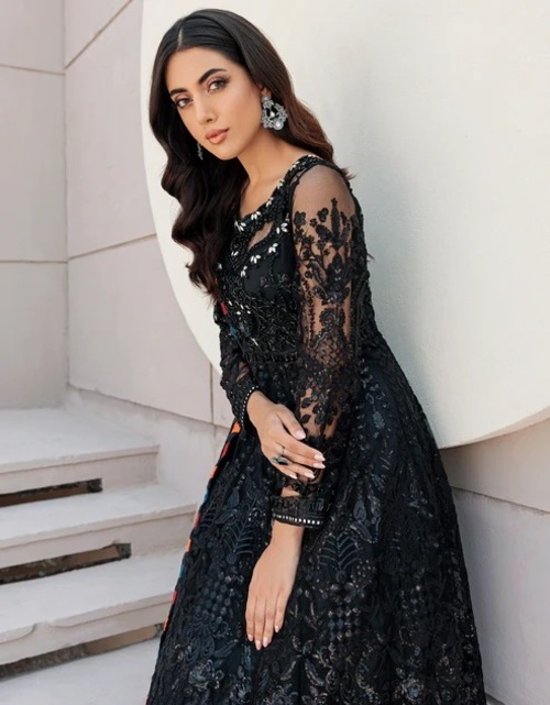 Designer Women Pakistani Suit - Net Embroidered Front and Back Body,  Organza Embroidered Borders, Dyed Raw Silk Trouser | Intricately Crafted  with Detailed Embellishments at 499.00 INR in Surat | Niva Creation