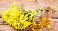 RBD canola oil