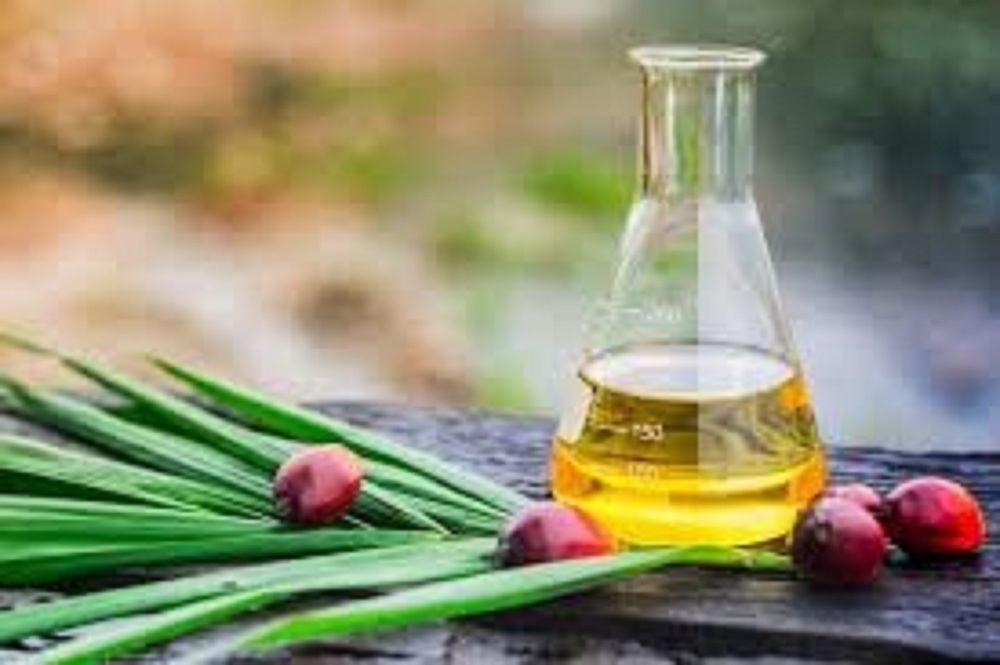 Palm kernel oil