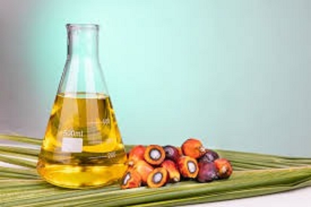 Fractionated palm oil