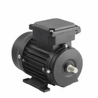 Electric Motor