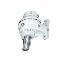 Reggiana Planetary Gearbox