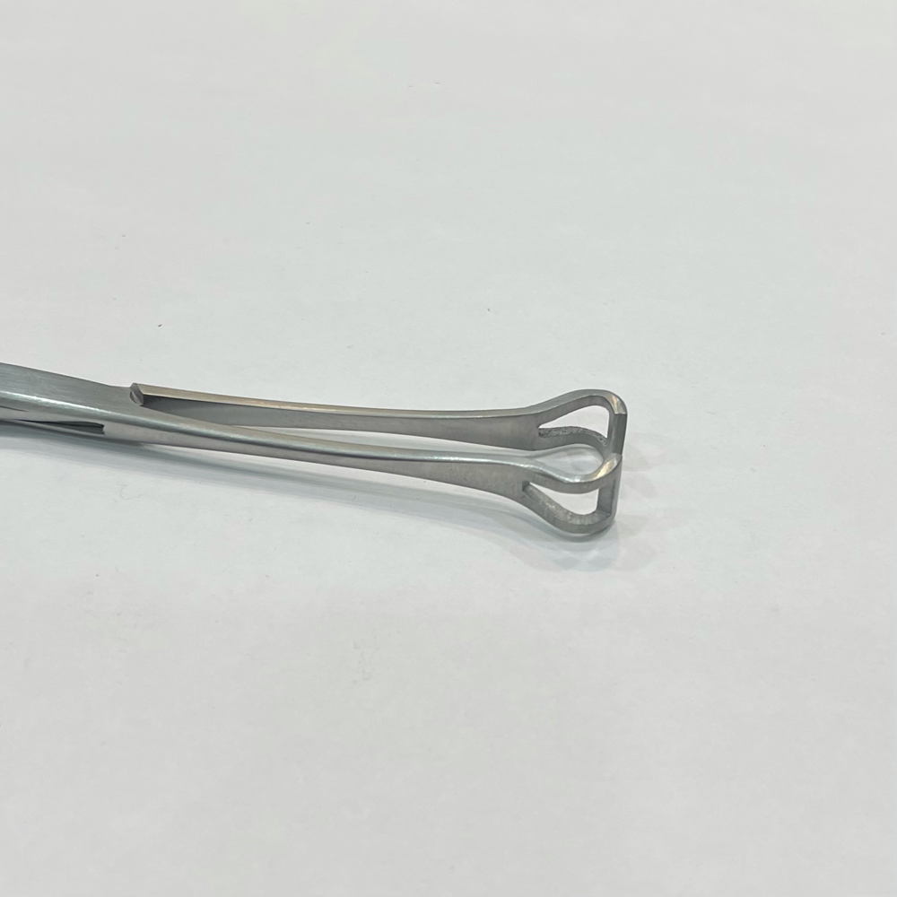 Babcock Forceps - 10