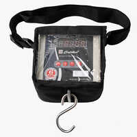 LPG Hanging Scale