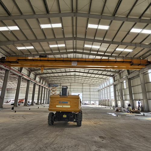 Double Girder EOT Crane
