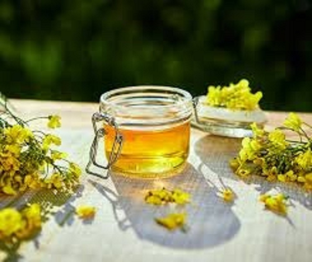 Organic canola oil