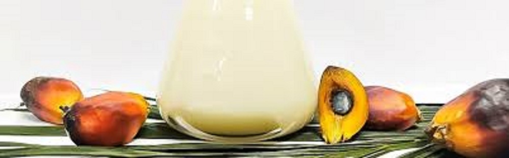 Palm stearin