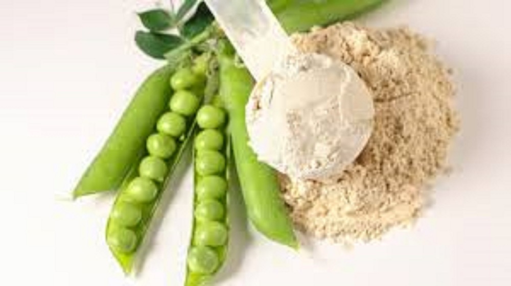 Pea protein isolate