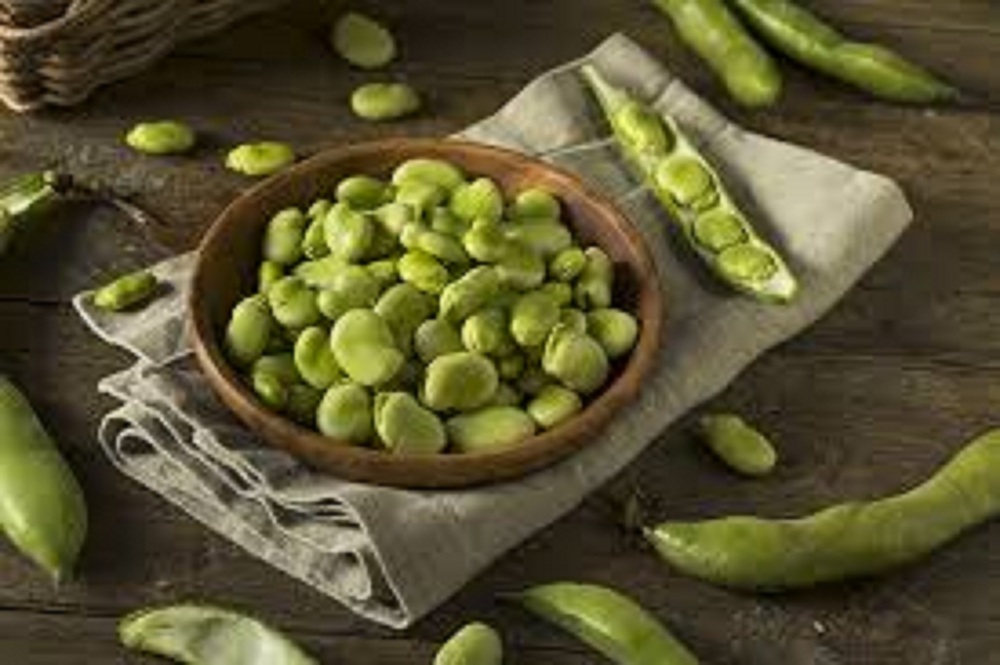 Faba Bean Protein