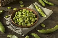 Faba bean protein
