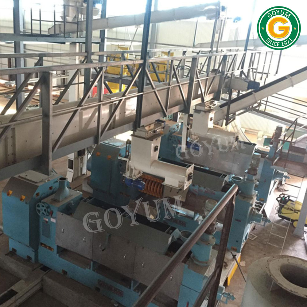 Corn / Maize Germ Oil Extraction Plant