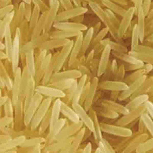 Sugandha Golden Sella Basmati Rice - Cultivation Type: Organic