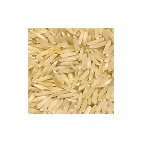 Pusa Golden Sella Basmati Rice - Cultivation Type: Organic