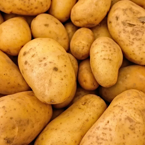 Fresh Potato - Moisture (%): 5% - 10%