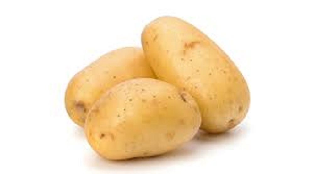 Potato protein