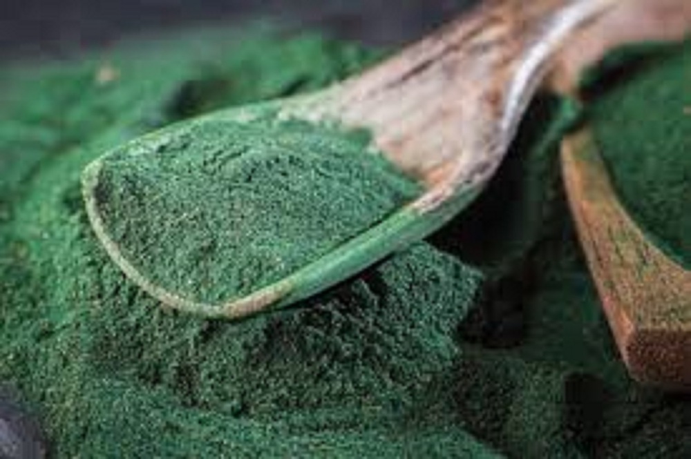Algae protein