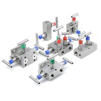 Hastelloy Manifold Valve - Application: Heavy Industrial Instrumentality