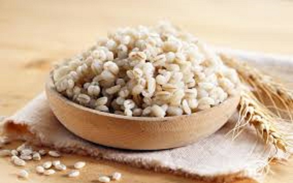 Barley protein