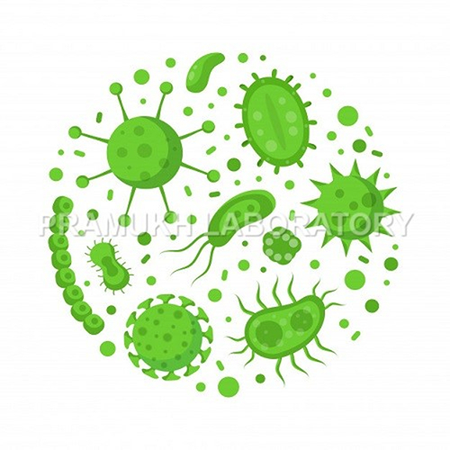 Bacterium Rhusopatheae Testing सेवाएं