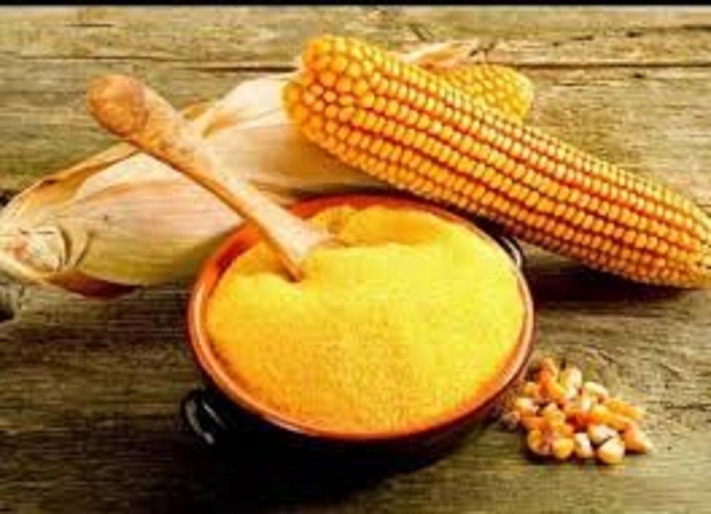 Corn protein