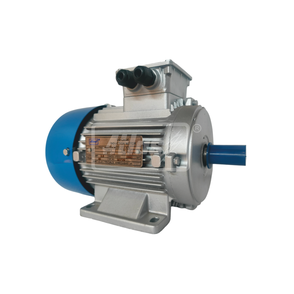 Three Phase Motors