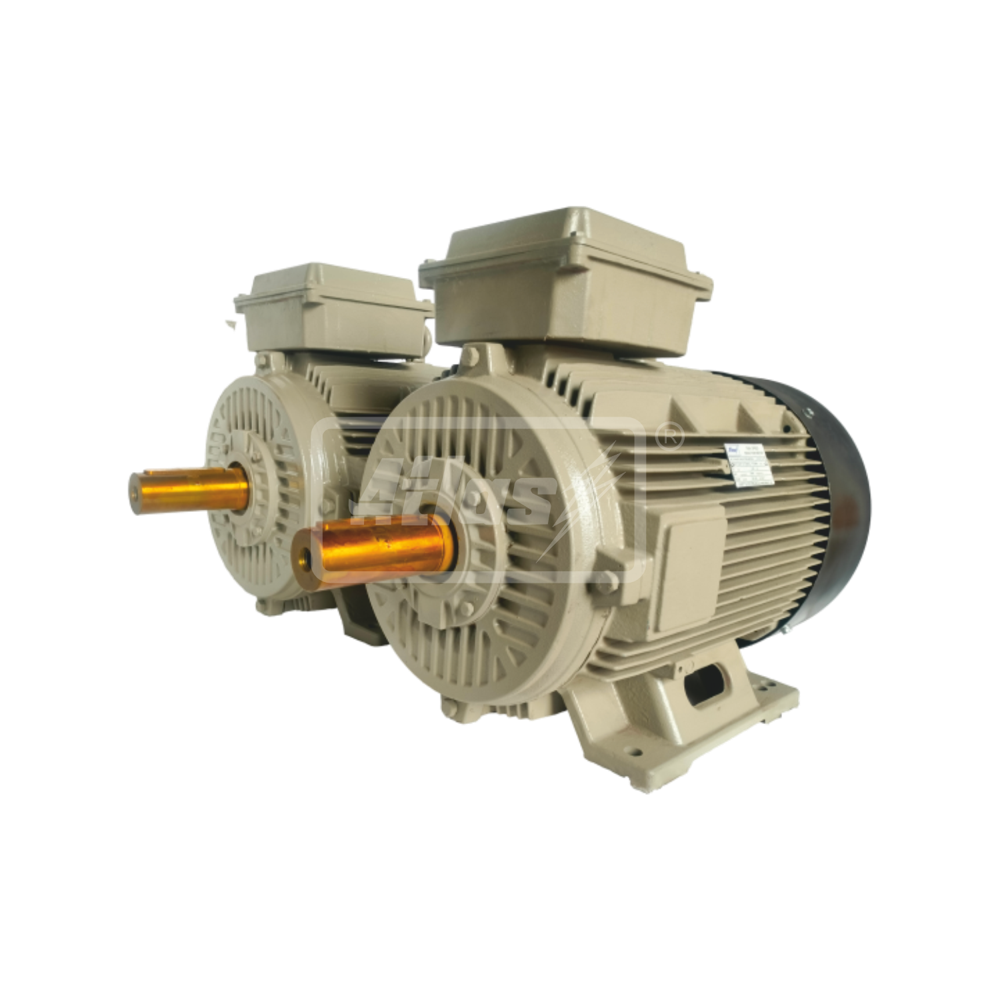 Three Phase Motors