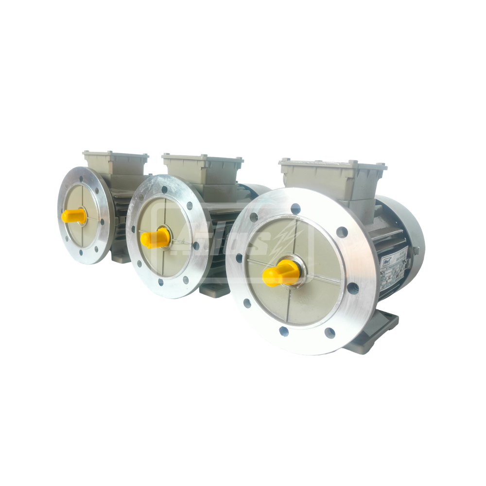 Three Phase Motors