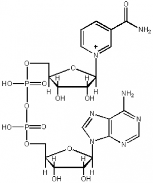 Acyclovir