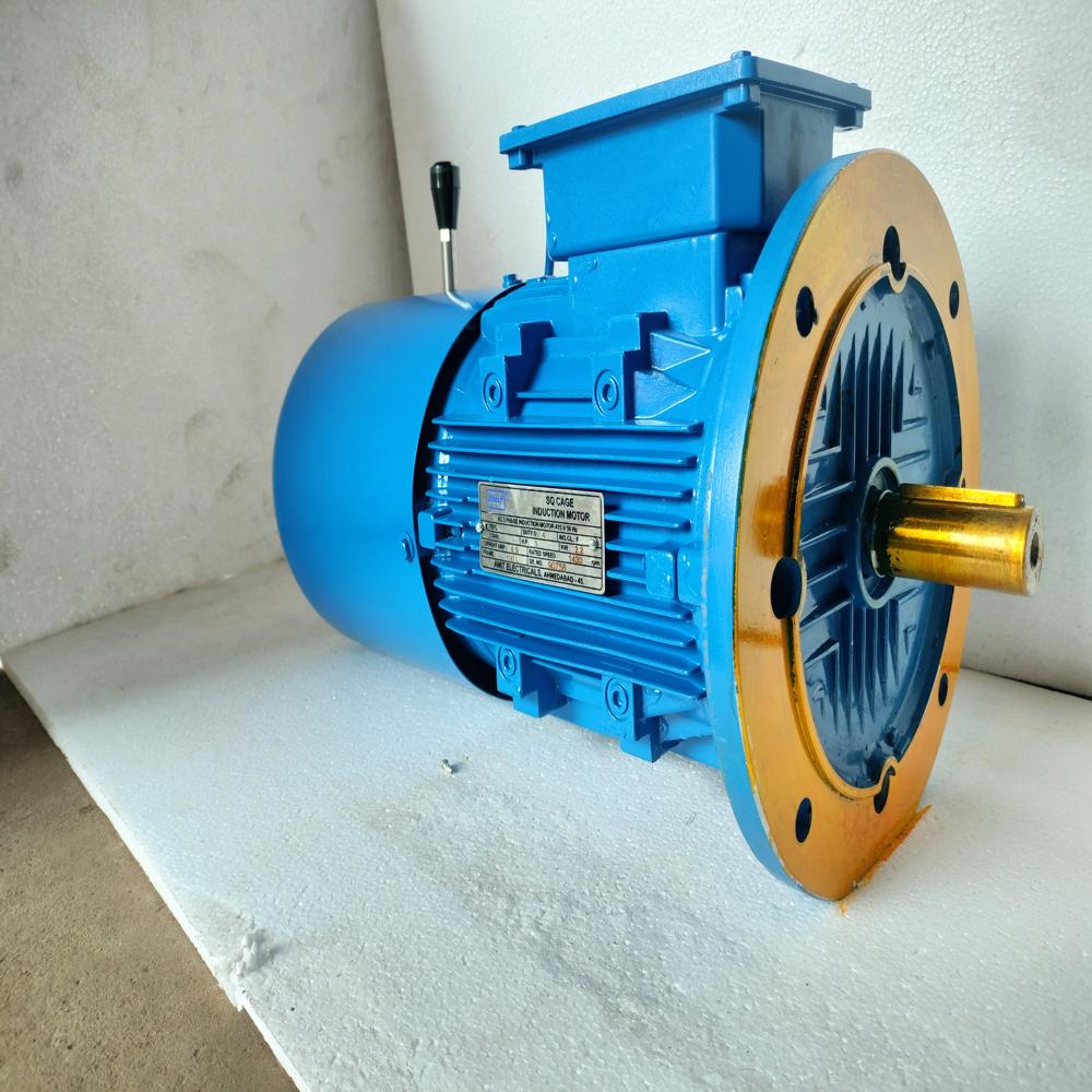 Dual Speed Brake Motor
