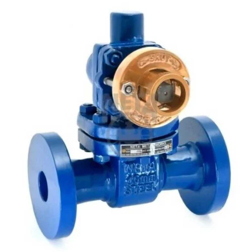 Industrial Blow Down Valve - Color: Blue