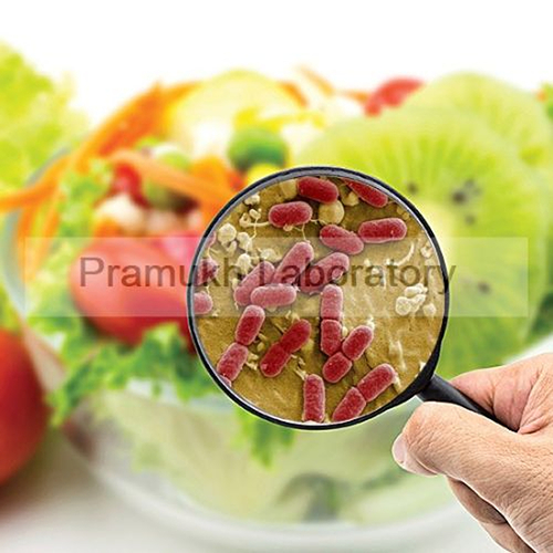 Clostridium Sporogenes Testing Services