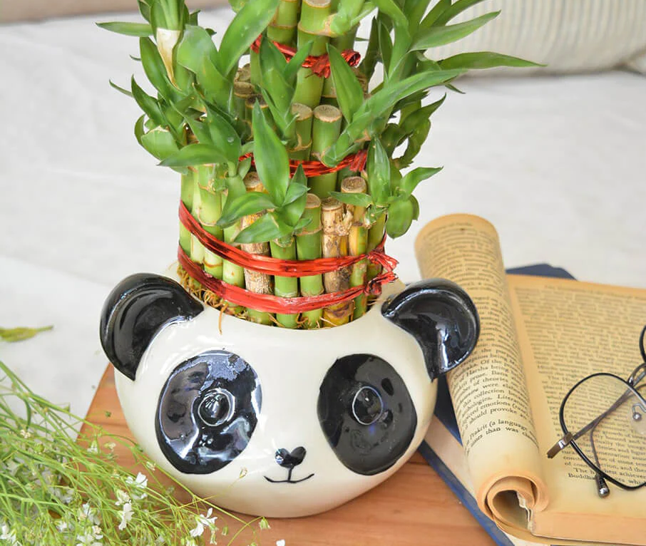 Indoor Ceramic Panda Flower Pot - Ceramic Material, Panda Shape, Polished Finish, White And Black Color | Hand Built Design With Antique Effect